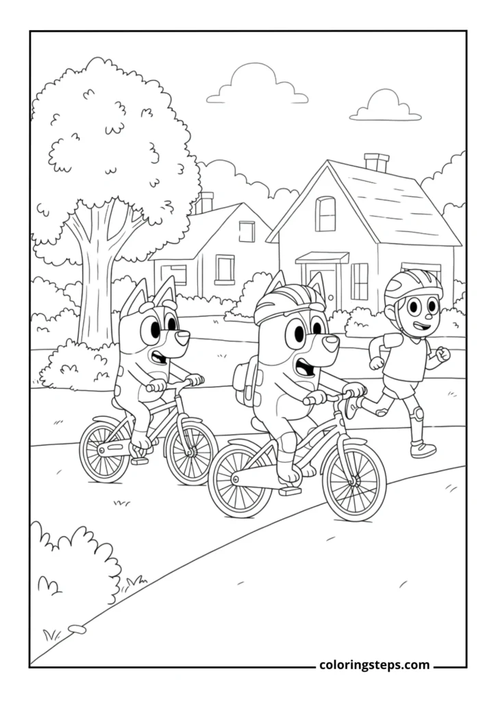 Bike Riding Adventure