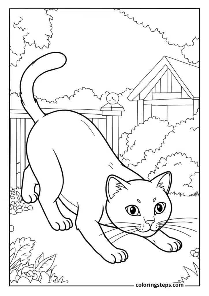 Hunting Stance Cat