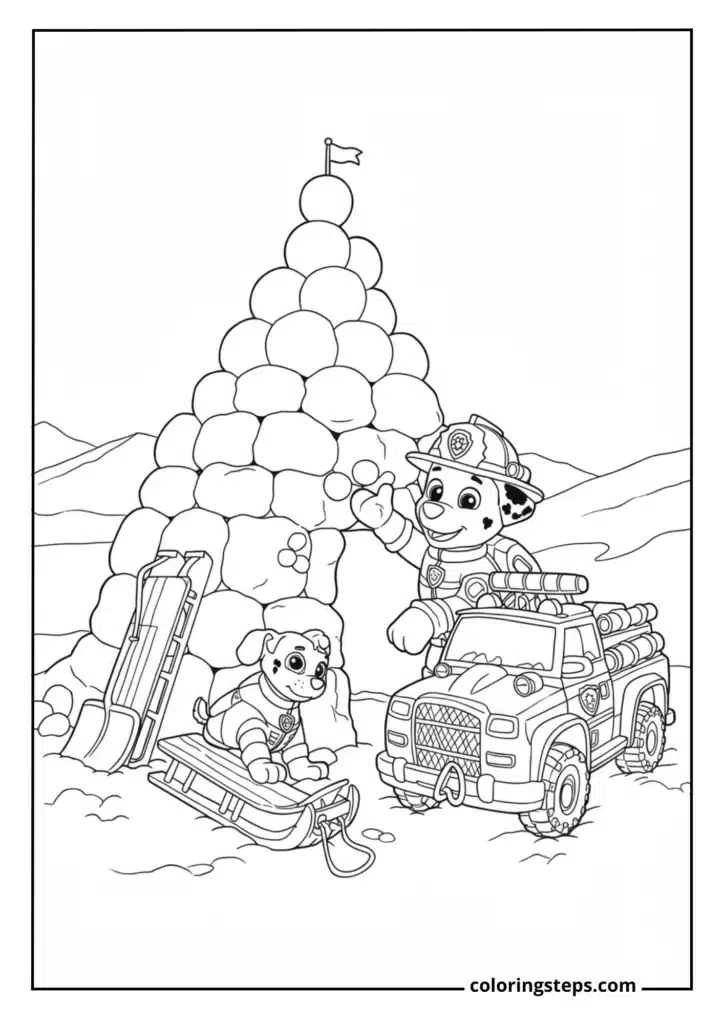 Marshall's Snow Rescue Training