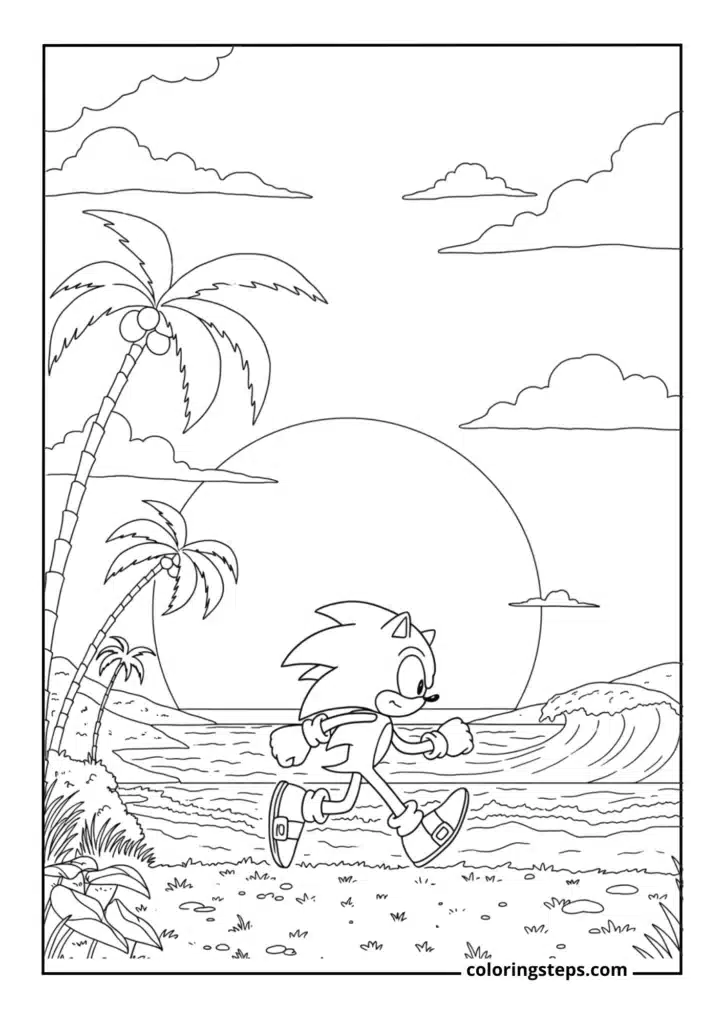 Sonic Sunset Running Scene