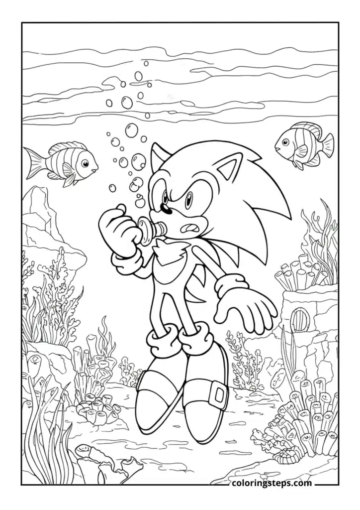 Sonic Underwater Adventure