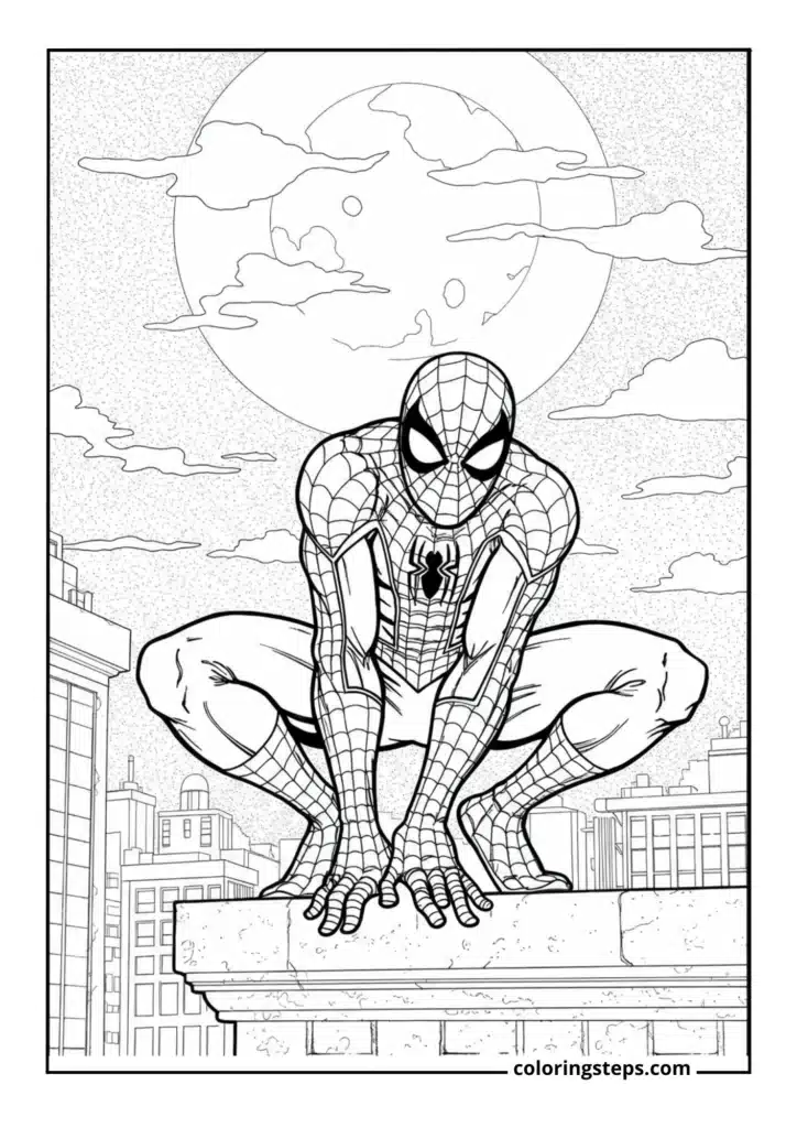 Spider-Man crouching on a rooftop at night