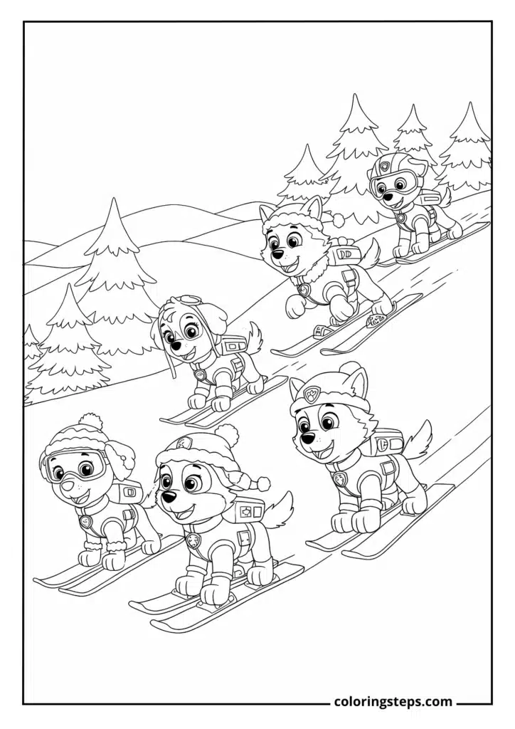 Winter Rescue Team