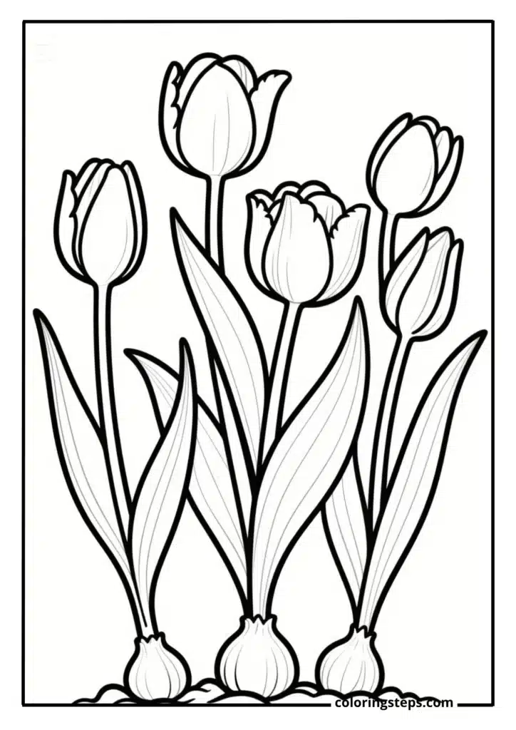 Bold Tulip Garden