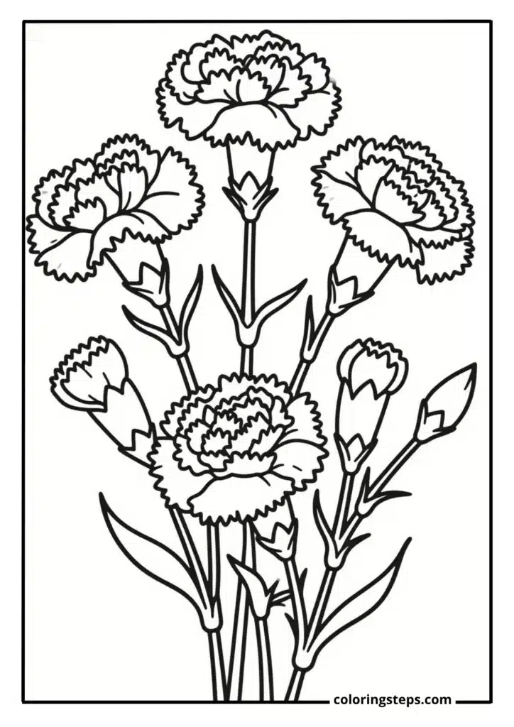 Carnation Bouquet