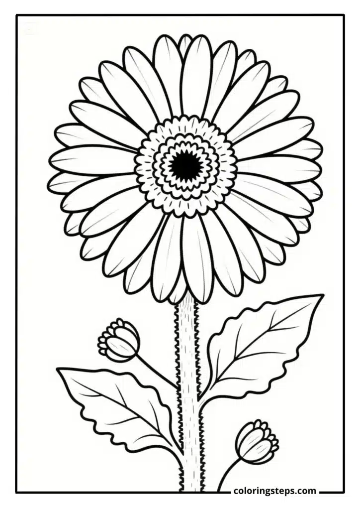 Cheerful Gerbera Daisy 1