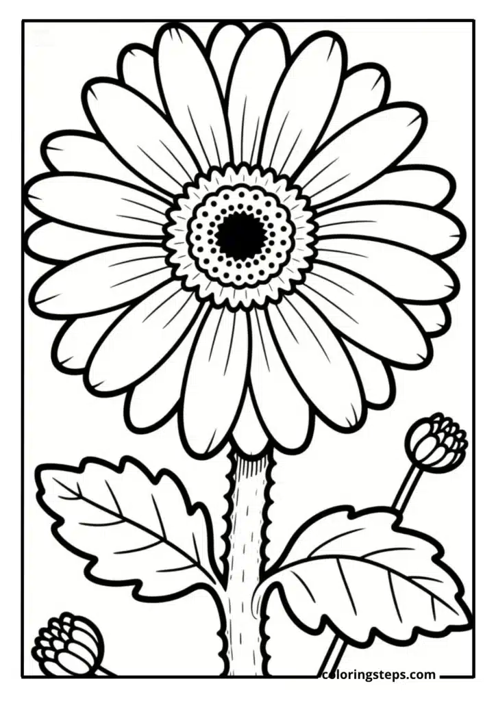 Cheerful Gerbera Daisy