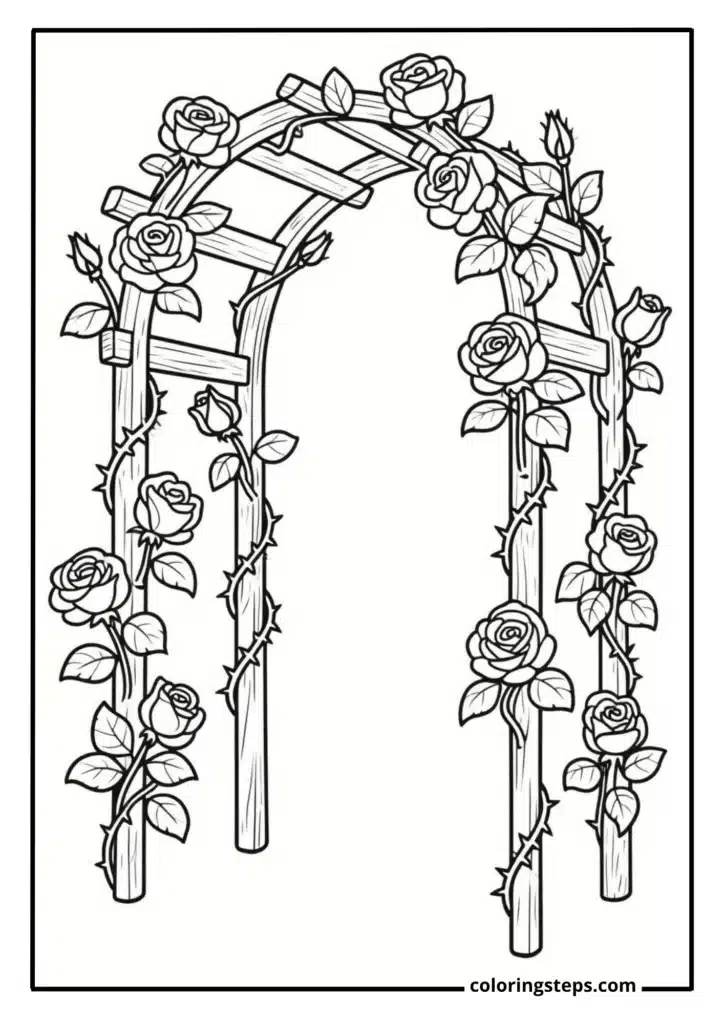 Climbing Rose Arbor