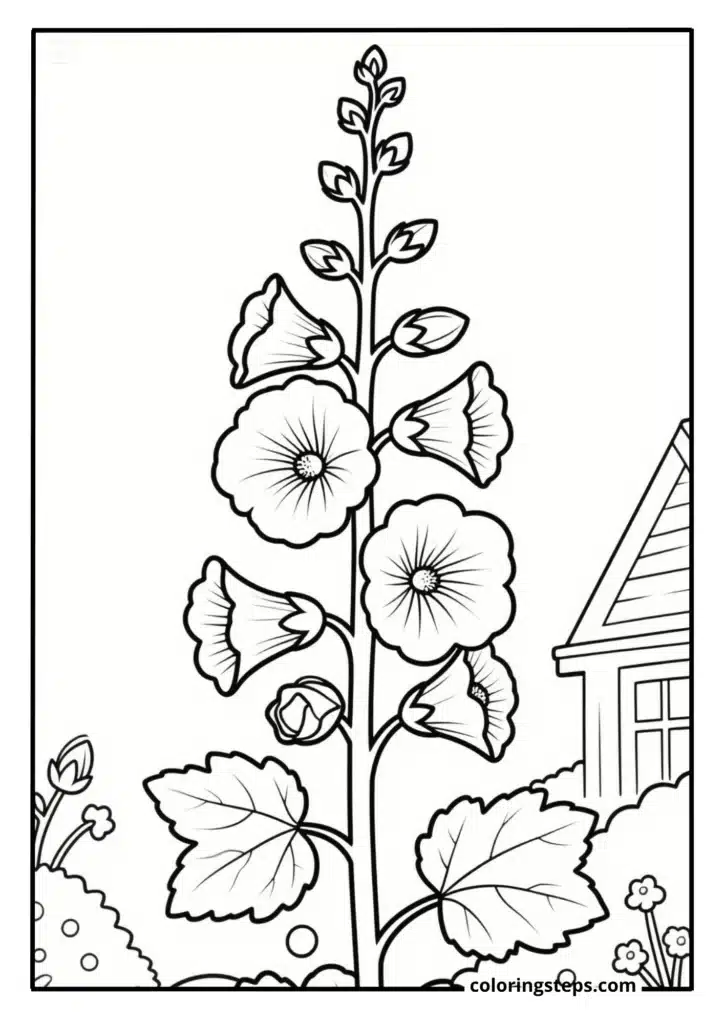 Cottage Garden Hollyhock