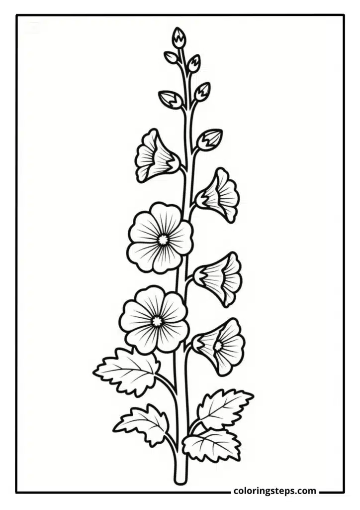 Cottage Garden Hollyhocks