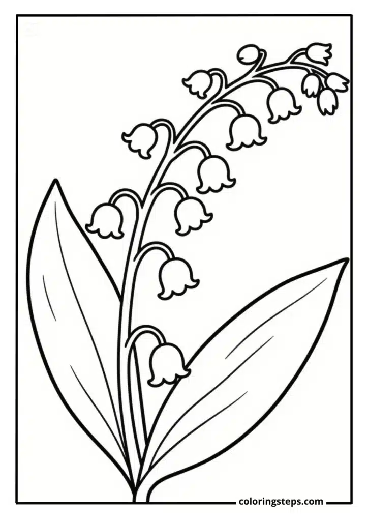 Dainty Lily of the Valley