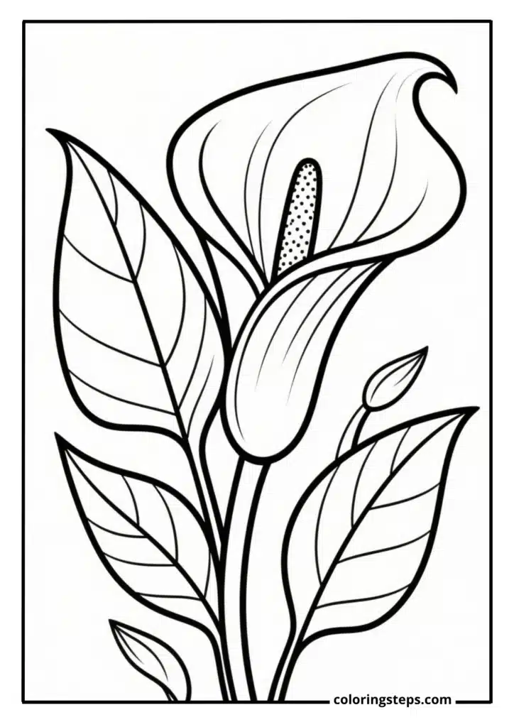 Dramatic Calla Lily