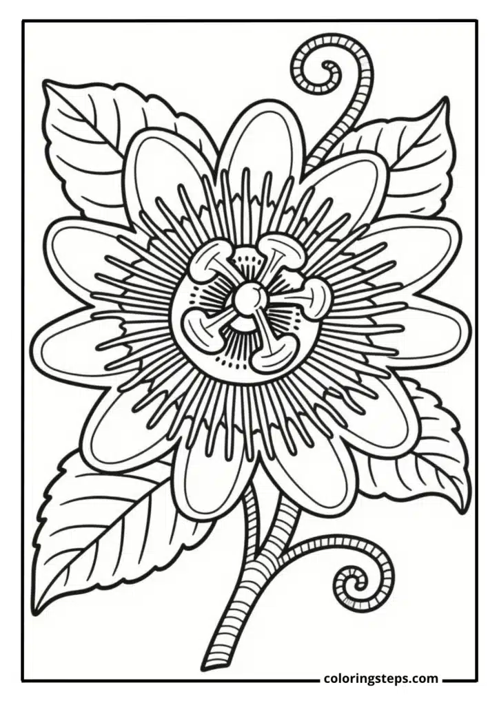 Exotic Passion Flower