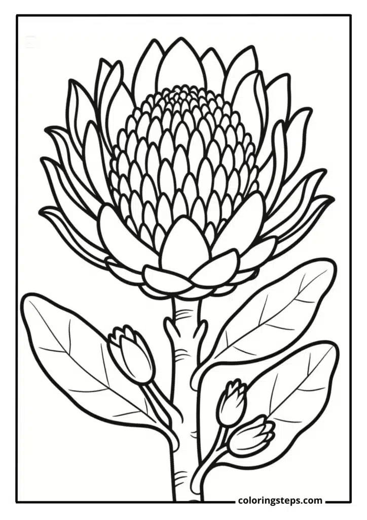 Exotic Protea Bloom