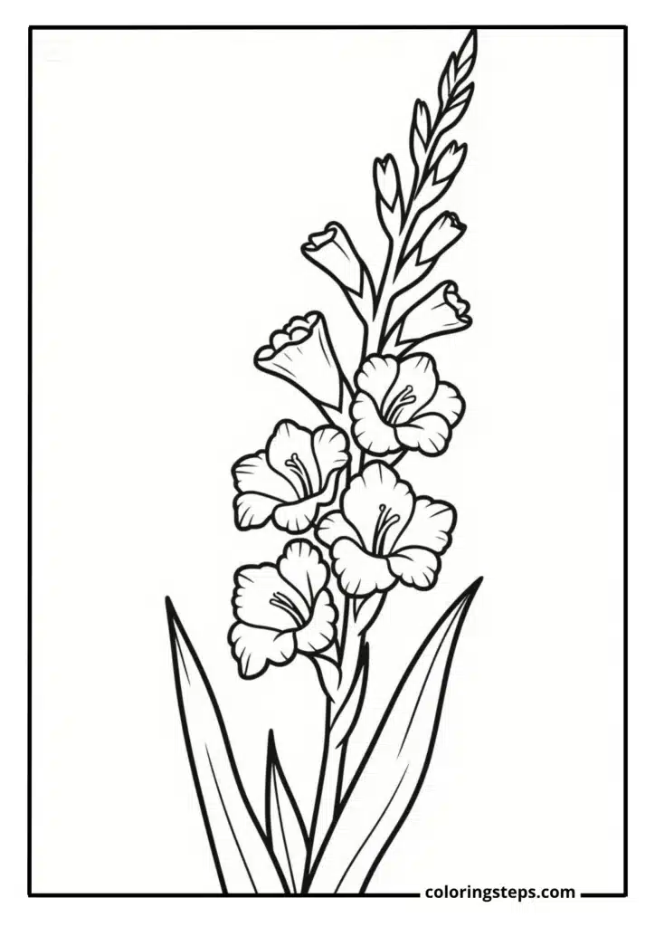 Stately Gladiolus Spike