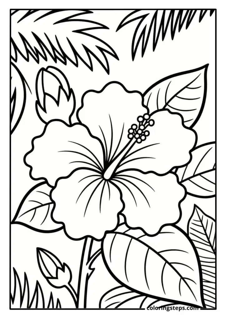 Tropical Hibiscus